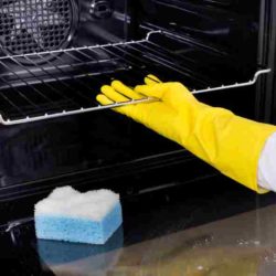 horno de cocina Profesional