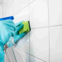 Limpiar Azulejos del Baño - Limpiar Azulejos Baño - Limpiar Azulejos en el Baño