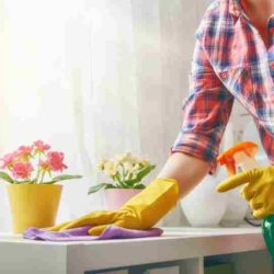 Servicios de Limpieza Generales - Limpiezas Generales Profesionales