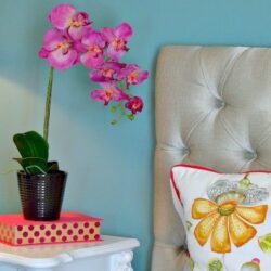 Limpieza de Primavera del Dormitorio