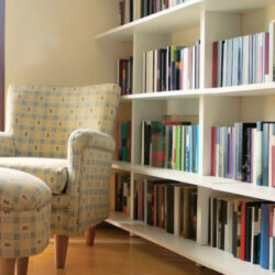 Limpiar Estanterías y Libros