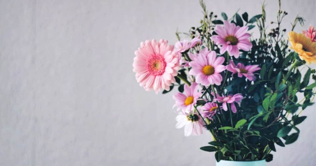 Cómo Mantener las Flores Frescas