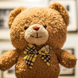 Cómo Lavar los Peluches