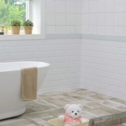 Limpieza General del Baño