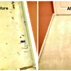 Pintura Seca de la Alfombra Paso a Paso