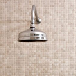 Spray de Limpieza de Ducha Diaria